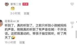 平湖最新爆料案件视频,最新视频揭秘惊人真相