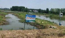 新瓜最新爆料钓鱼,钓鱼事件背后的惊人真相