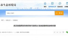 武汉加油爆料最新消息,最新抗疫进展速览！